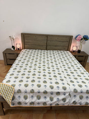 Queen AC DOHAR/ TOPSHEET Cotton